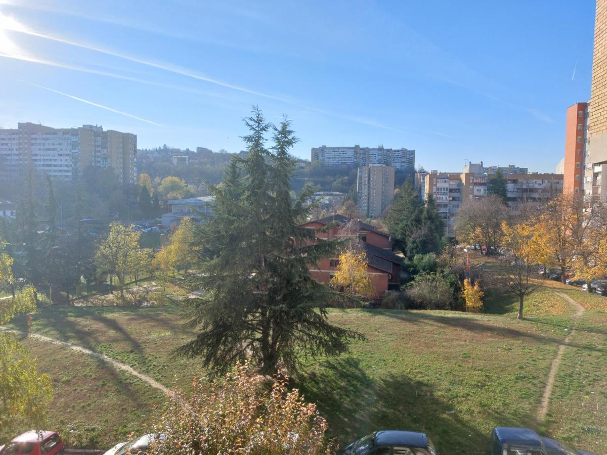 Apartman 22 Belgrád Kültér fotó